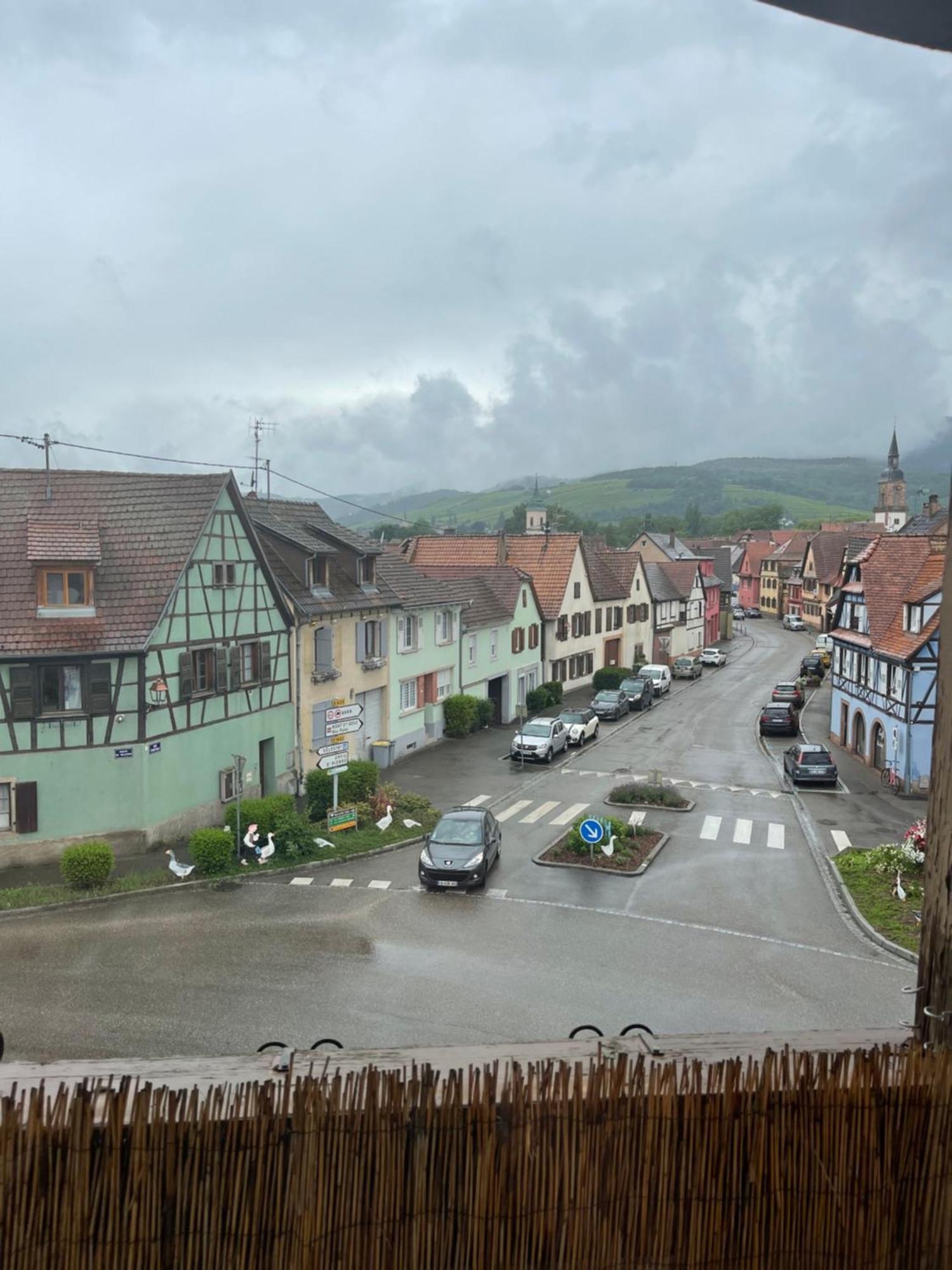 Appartement Centre Alsace Gertwiller Esterno foto